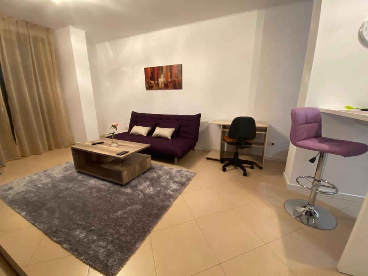 Central Apartment Temešvár Exteriér fotografie