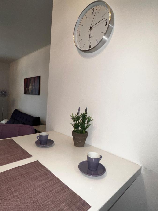 Central Apartment Temešvár Exteriér fotografie