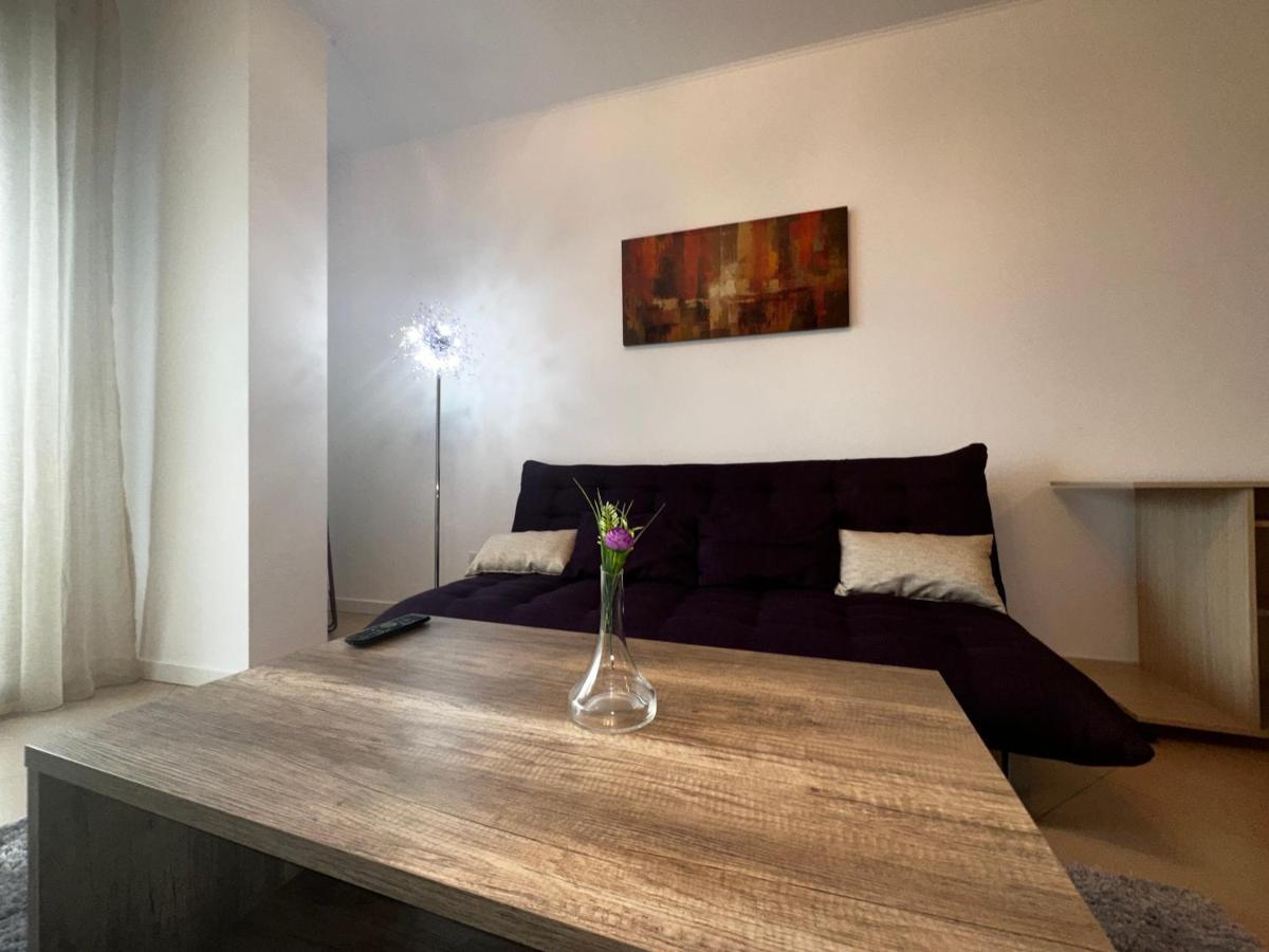 Central Apartment Temešvár Exteriér fotografie