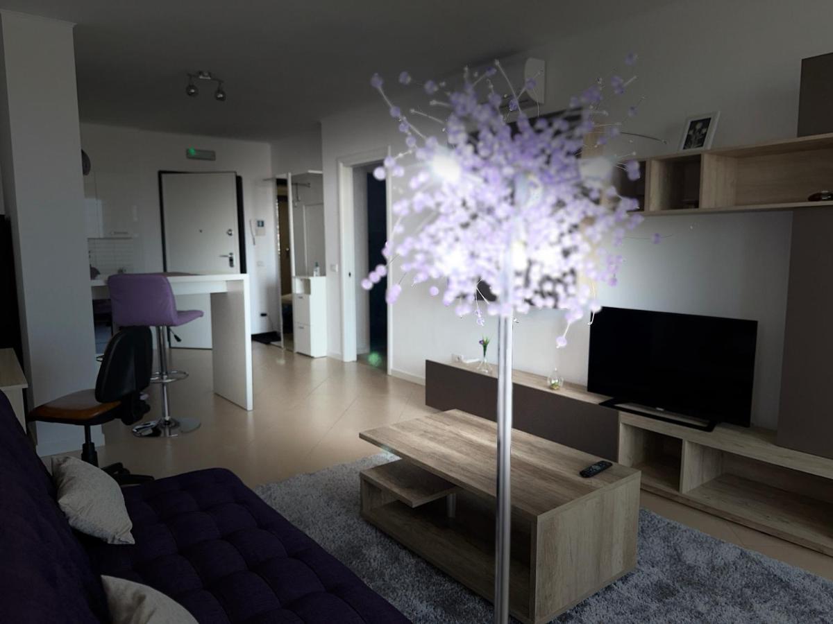 Central Apartment Temešvár Exteriér fotografie